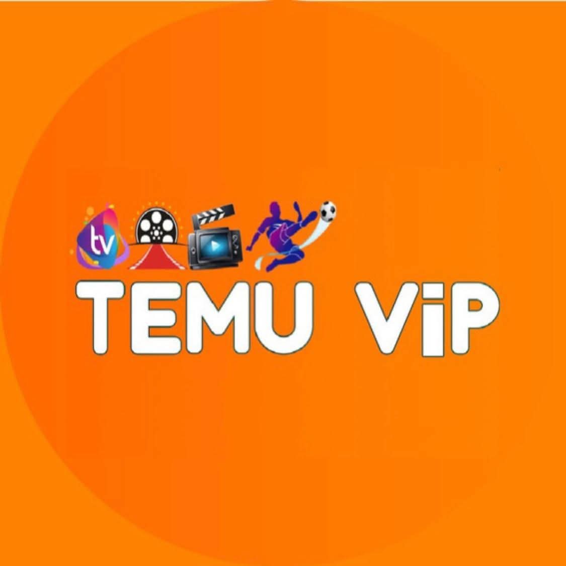 Temu vip