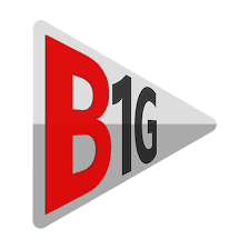 B1g